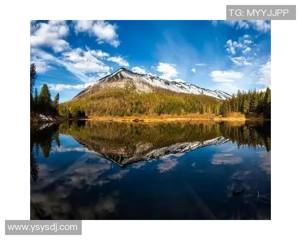 穆斯克龙与勤奋的较量：成功背后的智慧与努力之道