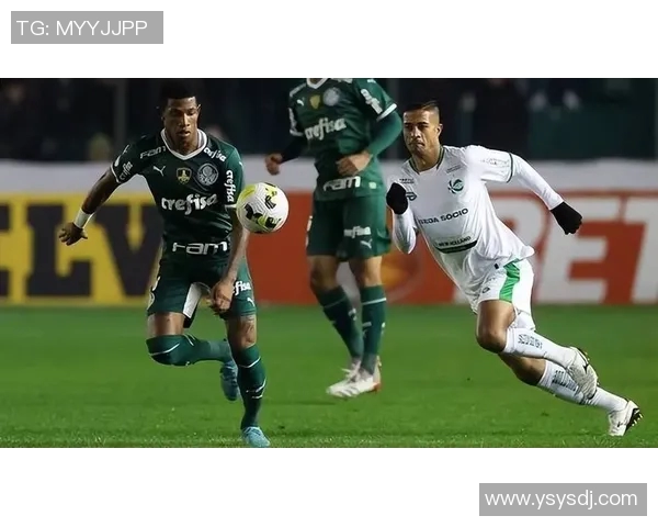 米竞技与塞阿拉激战正酣比分揭晓引发球迷热议