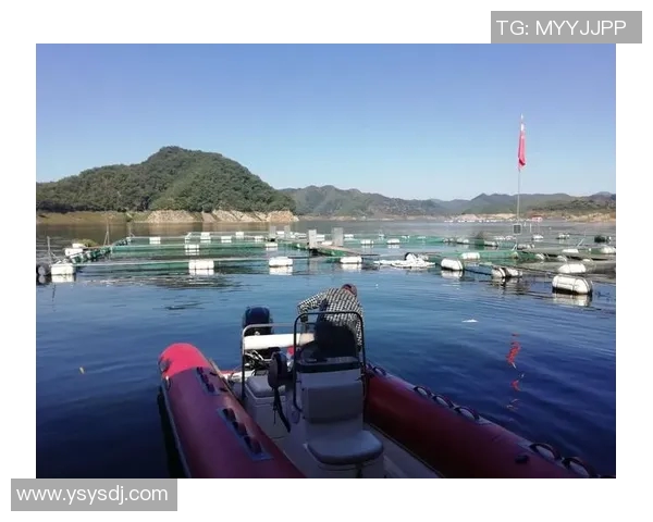 麦国民与曼塔的巅峰对决回顾2018年3月14日精彩瞬间再现 麦国民与曼塔的巅峰对决回顾2018年3月14日精彩瞬间再现