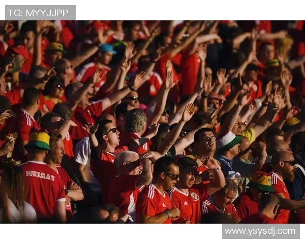 曼城与央视网的精彩对决引发球迷热议与媒体关注