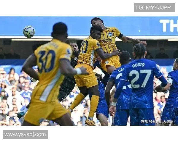 英超焦点战切尔西迎战布莱顿直播全程解析与精彩瞬间回顾