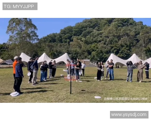 广州飞盘队逆袭之路：创新战术与团队协作的完美结合MBA