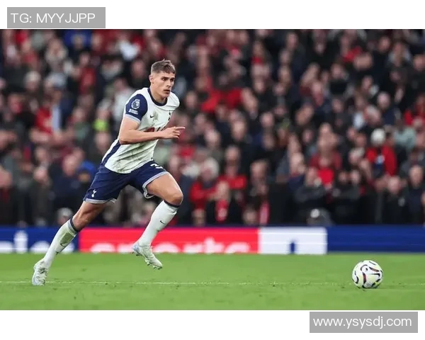 2017年日耳曼队与热刺队精彩对决回顾与分析