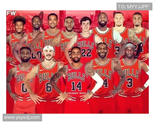 上海排球队的力量变革引发热议新策略与新阵容的深度分析 上海排球队的力量变革引发热议新策略与新阵容的深度分析