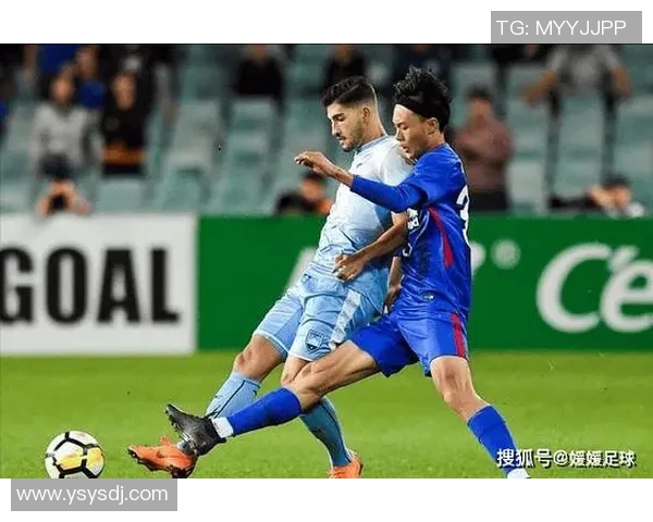 蔚山现代与悉尼FC对决解析：亚冠赛场上的精彩碰撞与战术较量