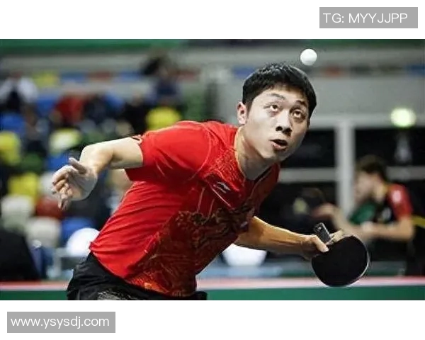 对话乒乓球传奇李伟探讨他的职业生涯与心路历程