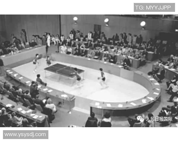 乒乓球战术深度解析：杭州乒乓球队的战术布局与训练策略探讨